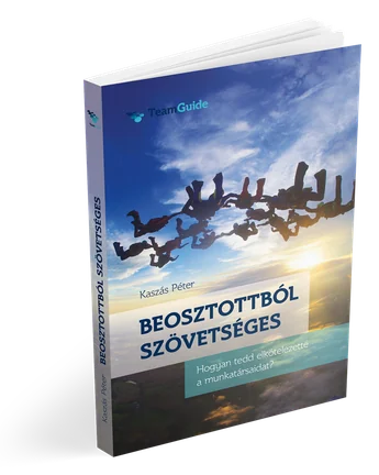 Beosztottból szövetséges, könyv