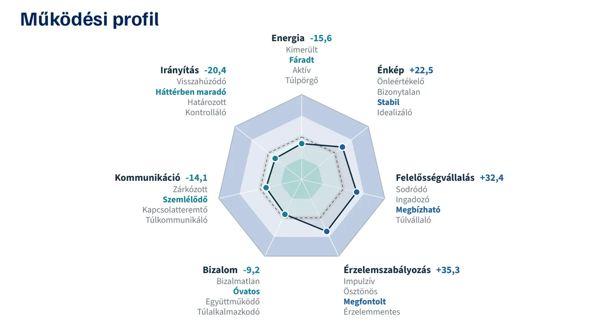 A riport működési profil oldala: hét terület egy pókhálóábrán, a jelölt helyzete skálánként