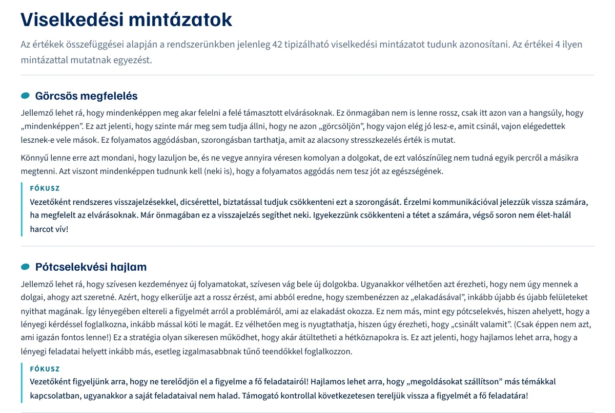 A riport viselkedési mintázatok oldala: az egyező mintázatok leírása vezetői fókusszal